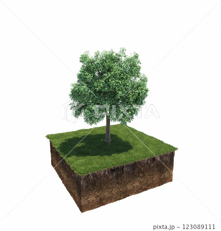 tree and soil cut under it. Isolated garden element, 3D illustration, cg render tree and soil cut under it. Isolated garden element, 3D illustration, cg render 123089111