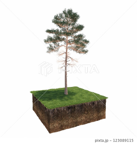 tree and soil cut under it. Isolated garden element, 3D illustration, cg render tree and soil cut under it. Isolated garden element, 3D illustration, cg render 123089115