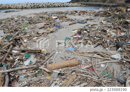 海岸の漂着物 環境問題 ゴミ問題 123089190