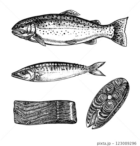 A set of illustrations with fish, trout, mackerel, pieces of fish. Vector, hand-drawn graphics. Black and white image of seafood. Separate from the background. For menus, recipe books, packages, label 123089296