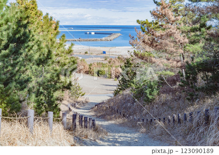 茨城　海の見える坂道 123090189