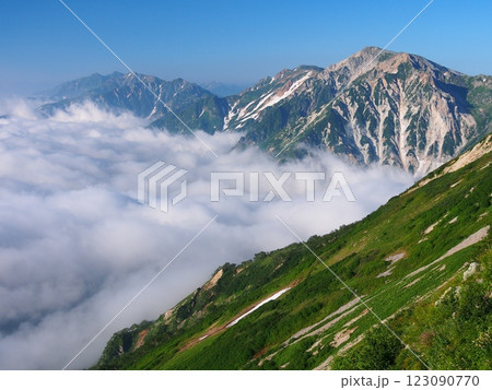 夏の白馬三山・白馬鑓ヶ岳と雲海 123090770