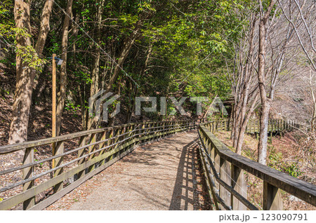 大阪府民の森ほしだ園地風景　かわぞいの路　交野市 123090791