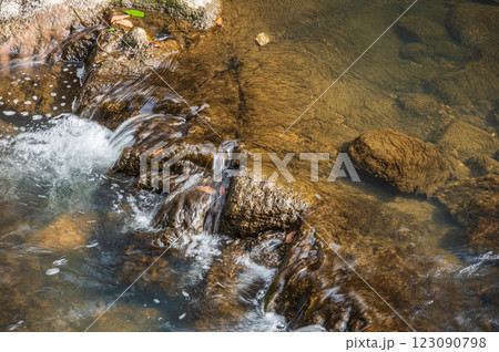 交野市の清流　天野川 123090798