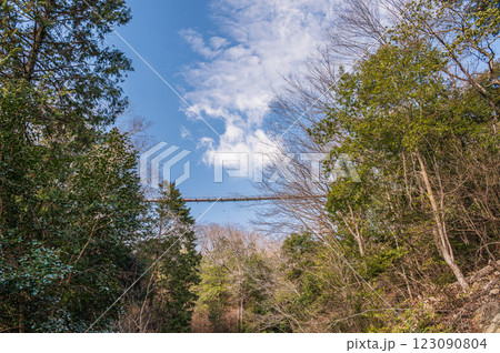 大阪府民の森ほしだ園地 管理道から見上げる星のブランコ 交野市 大阪府民の森ほしだ園地 管理道から見上げる星のブランコ 交野市 123090804