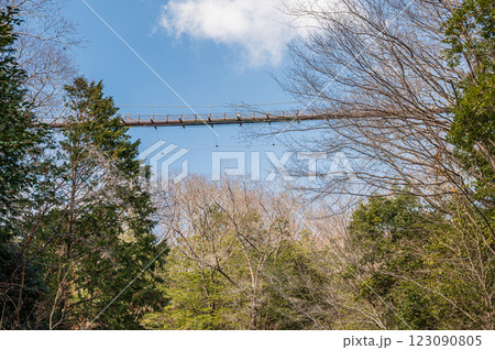 大阪府民の森ほしだ園地 管理道から見上げる星のブランコ 交野市 大阪府民の森ほしだ園地 管理道から見上げる星のブランコ 交野市 123090805