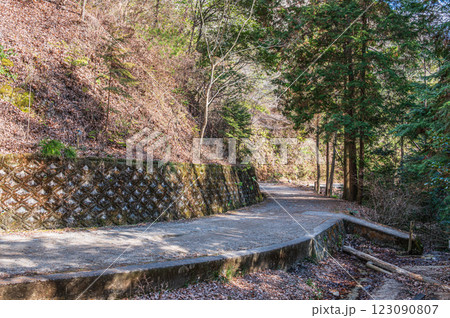 大阪府民の森ほしだ園地 管理道 交野市 大阪府民の森ほしだ園地 管理道 交野市 123090807