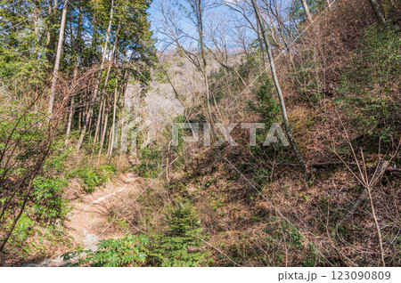 大阪府民の森ほしだ園地風景　さえずりの路　交野市 123090809