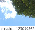青空に映える新緑 123090862