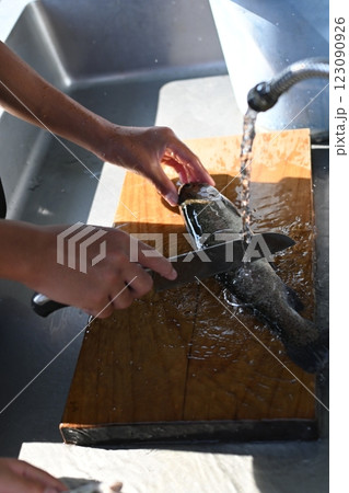 釣った魚の処理 123090926