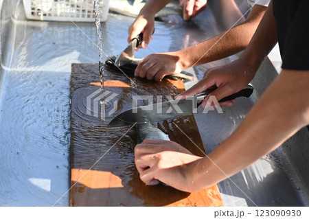 釣った魚の処理 123090930