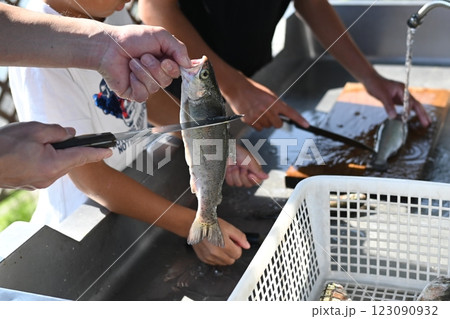 釣った魚の処理 123090932