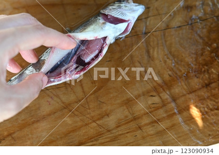 釣った魚の処理 123090934