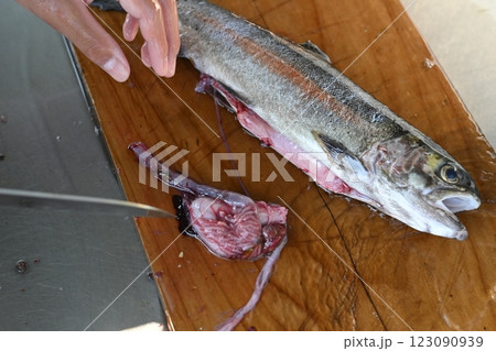 釣った魚の処理 釣った魚の処理 123090939