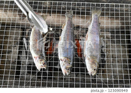 炭火で焼く魚 炭火で焼く魚 123090949