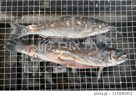 炭火で焼く魚 炭火で焼く魚 123090952