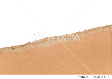 Torn cardboard Paper with space for text. Torn cardboard isolated on white background. Banner with copy space. High quality photo Torn cardboard Paper with space for text. Torn cardboard isolated on white background. Banner with copy space. High quality photo 123091127