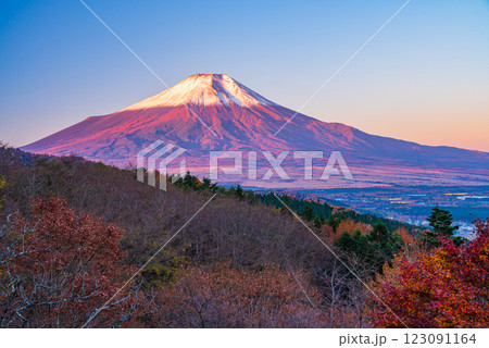 【山梨県】紅葉が美しい二十曲峠から、新雪で雪化粧した富士山を望む 123091164