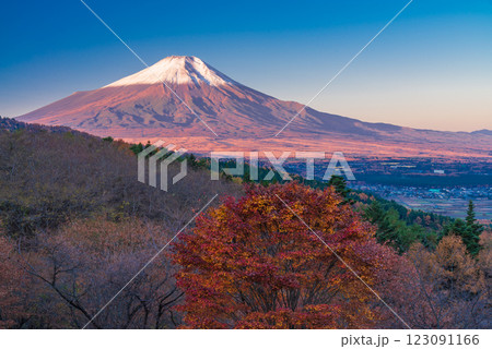 【山梨県】紅葉が美しい二十曲峠から、新雪で雪化粧した富士山を望む 【山梨県】紅葉が美しい二十曲峠から、新雪で雪化粧した富士山を望む 123091166