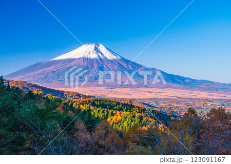 【山梨県】紅葉が美しい二十曲峠から、新雪で雪化粧した富士山を望む 123091167