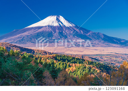 【山梨県】紅葉が美しい二十曲峠から、新雪で雪化粧した富士山を望む 【山梨県】紅葉が美しい二十曲峠から、新雪で雪化粧した富士山を望む 123091168