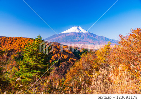 【山梨県】紅葉が美しい二十曲峠から、新雪で雪化粧した富士山を望む 【山梨県】紅葉が美しい二十曲峠から、新雪で雪化粧した富士山を望む 123091178