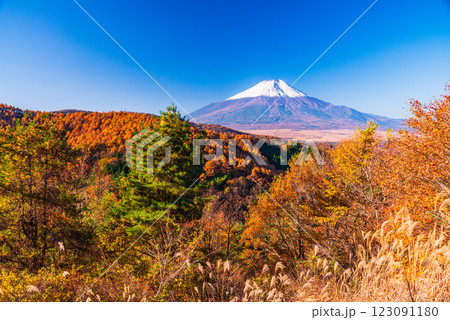 【山梨県】紅葉が美しい二十曲峠から、新雪で雪化粧した富士山を望む 123091180