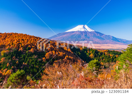 【山梨県】紅葉が美しい二十曲峠から、新雪で雪化粧した富士山を望む 123091184