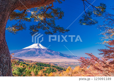 【山梨県】紅葉が美しい二十曲峠から、新雪で雪化粧した富士山を望む 123091189