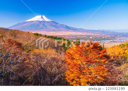 【山梨県】紅葉が美しい二十曲峠から、新雪で雪化粧した富士山を望む 123091190