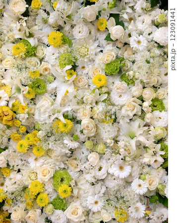 アレンジフラワーのバックグラウンド 123091441