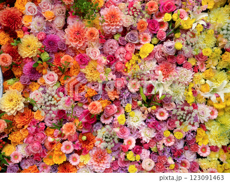 アレンジフラワーのバックグラウンド 123091463