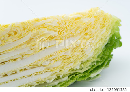 カットした白菜の断面のクローズアップ 123091583