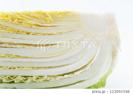 カットした白菜の断面のクローズアップ 123091586