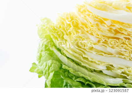 カットした白菜の断面のクローズアップ 123091587