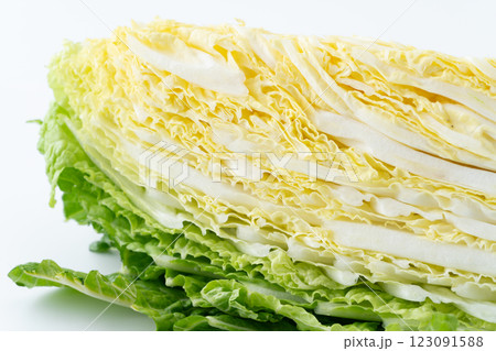 カットした白菜の断面のクローズアップ 123091588