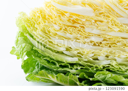 カットした白菜の断面のクローズアップ 123091590