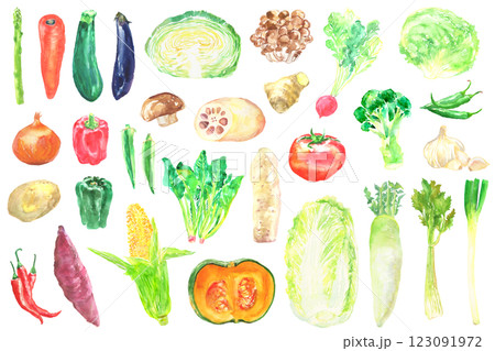水彩で描いた野菜のセットのイラスト 123091972