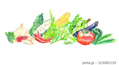 水彩イラスト 夏野菜セット 123092129