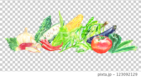 水彩插圖夏季蔬菜套裝 123092129