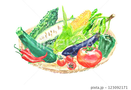 水彩イラスト 夏野菜セット 水彩イラスト 夏野菜セット 123092171