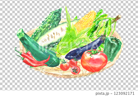水彩插圖夏季蔬菜套裝 123092171