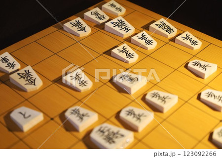 将棋（第74期王将戦第3局の投了棋譜） 123092266