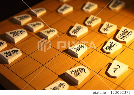 将棋の第74期王将戦第3局の投了棋譜 123092375
