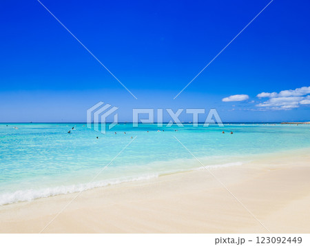 夏・海・ビーチイメージ　ハワイ 123092449