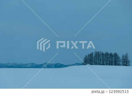 北海道冬朝の美瑛の風景02 北海道冬朝の美瑛の風景02 123092513