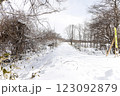 雪の積もった道 123092879