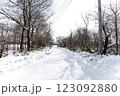 雪の積もった道 123092880