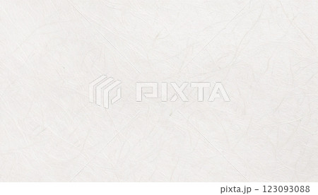 和紙の背景 123093088