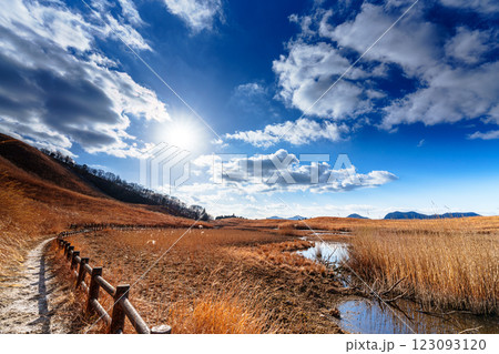 2025年2月14日山焼き前日の曾爾高原　夕日輝く空から美しい夕焼けまで　西の空低く輝く太陽① 123093120